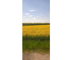 Краса України