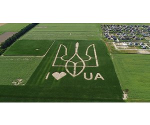 Ми у світі