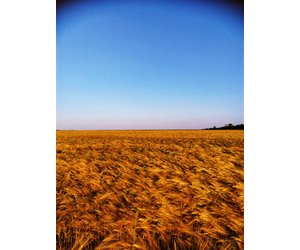 З Україною в серці