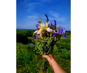 Моя вільна Україна