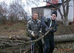 Упорядкування території ЗОШ № 8