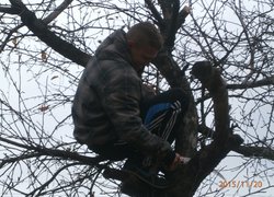 Упорядкування території ЗОШ № 8