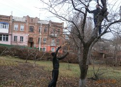 Упорядкування території ЗОШ № 8