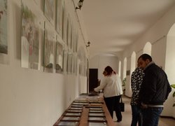 Виставка студентських робіт